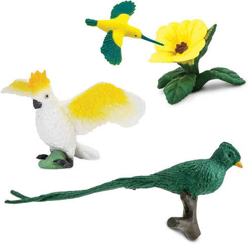 Safari Ltd. Exotic Birds TOOB - 10 Figurines: Parakeet, Quetzal, Macaw, Hummingbird, Toucan, Cockatoo, Flamingo, Snowy Owl, Parrot - Educational T...