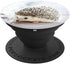 Cute Hedgehog Animal Lover Gift PopSockets PopGrip: Swappable Grip for Phones & Tablets PopSockets Adhesive PopGrip...
