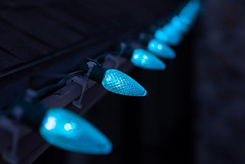 Set of 25 Teal C9 Christmas Lights | Faceted C9 LED Christmas Light Bulbs for Indoor & Outdoor Use | Durable C9 LED Lights | Replacement C9 Bulbs...