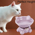 Ceramic Raised Cat Bowls for Indoor Cats Cute Elevated Cat Food Bowls 5.4 Inch Wide Whisker Friendly Purple Cat Water Bowl Dishwasher and Microwav...