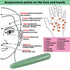 Gua Sha Massage Tools Jade Manual Stick Deep Tissue Natural Facial Tool for Full Body Meridian Pain Relief...