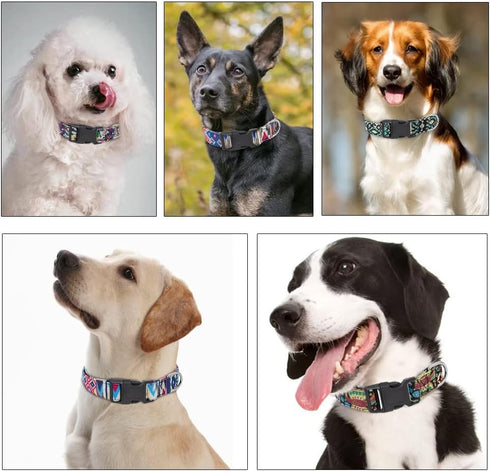 Moonpet Dog Collars for Puppy X-small Small Medium Large Dogs - Unisex Cute Design Boys Girls Dog Pet Collar Soft Adjustable Bohemia Fancy Floral ...