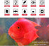 MQ 8 in Submersible LED Aquarium Light, 1.2W Color Changing Fish Tank Light with Remote Control, IP68 Crystal Glass 9 LEDs Lights Bar, for Fish Ta...