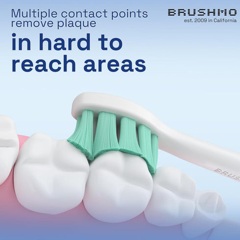Brushmo Replacement Toothbrush Heads Compatible with Philips Sonicare Electric Toothbrush, White, 10 pc Variety Pack...