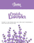 Shortie's Candle Company Pure English Lavender Wax Melts - Formula 117-1 Highly Scented 3 Oz. Bar - Made with Essential & Natural Oils - Flower & ...