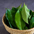 GranAroma Ground Bay Leaves, 7.2 oz, Savory Flavor, Soups & Sauces, Pickling Spice...