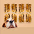 ROAM Pet Treats Ossy Baby Back Rib – Ostrich Dog Chew Contains 4 Chews for Dogs (Pack of 2)...