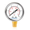 Lead-Free Water Pressure Gauge Liquid Filled 0-15Psi 2" Dial, Stainless Steel Case, 1/4" NPT Lower Mount, Water Pressure Gauge for Home...
