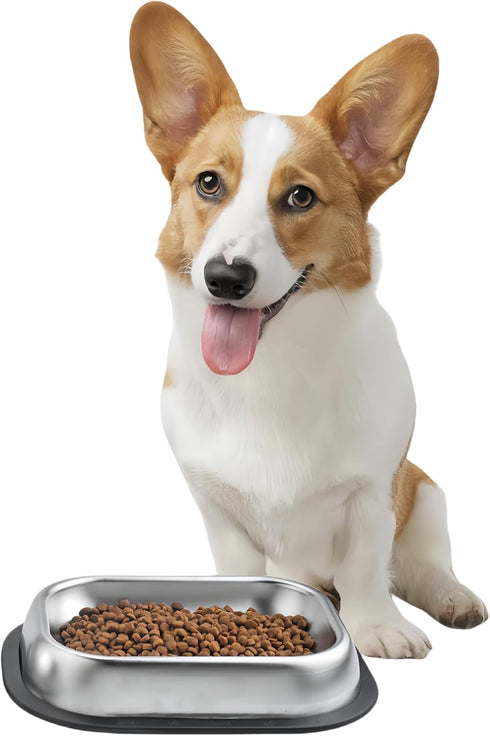 304 Stainless Steel Metal Food Dishes, with Cleaning Kit, Shallow Dog Food Bowls, Feeder Dog Bowls Water Bowl, for Small/Med Sized Cats Dogs (8.2 ...