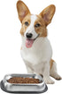 304 Stainless Steel Metal Food Dishes, with Cleaning Kit, Shallow Dog Food Bowls, Feeder Dog Bowls Water Bowl, for Small/Med Sized Cats Dogs (8.2 ...