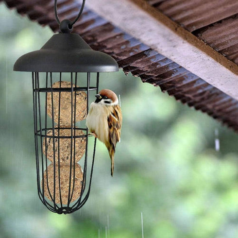 Black Suet Ball Bird Feeder Outdoor Hanging Wire Steel Metal Fat Ball Feeder for Wild Birds...