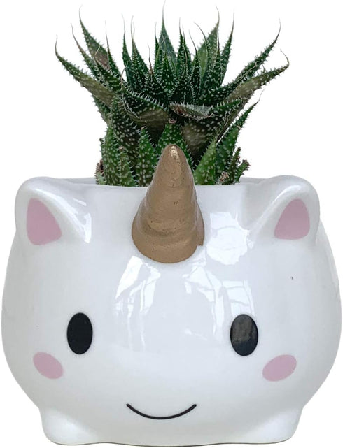 Cute Desk Planter Unicorn Succulent Planter Pots Small Ceramic Planter...