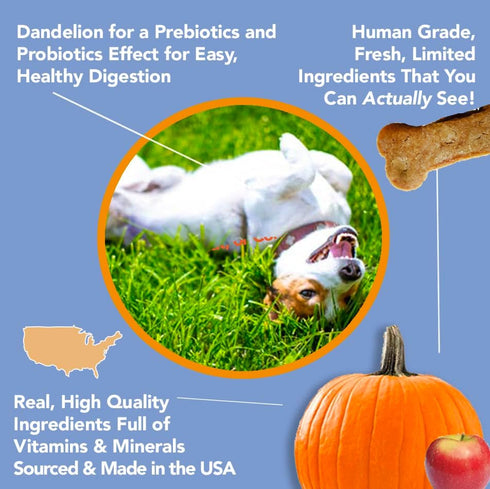 Marcy's Pet Kitchen- All Natural, Crunchy, Pumpkin Biscuit Dog Treats - Homemade - Crunchy Approved- Vegan, Gluten Free, Human Grade Ingredients, ...