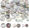 PH PandaHall 100pcs Natural Shell Buttons 3 Sizes Shell Round Buttons 2-Hole Sewing Buttons Craft Seashell Buttons for DIY Sewing Crafts Clothes C...