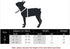 Soft & Comfy Dog Collar with Bow, Detachable and Adjustable Bow Tie Collar,Durable, and Stylish Pet Collar for Girl Female Small Medium Large Dogs...