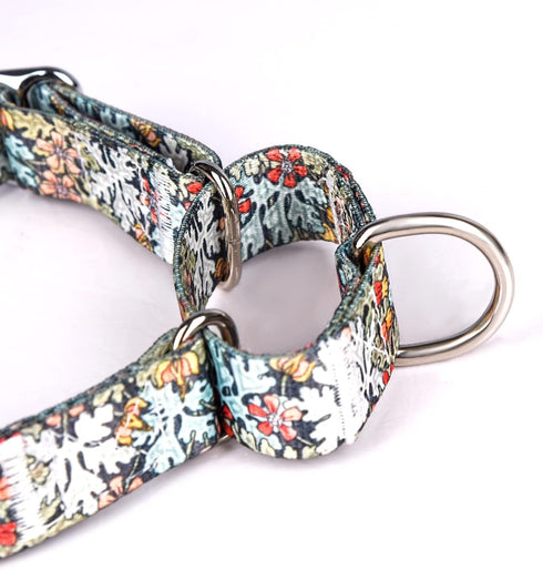 Heavy Duty Nylon Dog Collar, Adjustable Martingale Dog Collar for Walking Training Boy and Girl Dogs Medium Large Dogs (L:45-53CM, Gold)...