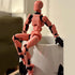 JIAN HAO Titan 13 Action Figure, Multi-Jointed and Movable, 3D Printed Toy Robot Action Figure (Pink)...