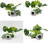 Smoothedo-Pets Aquarium Plants Fish Tank Decorations 6inch Plastic Artificial Plant Goldfish Waterscape Betta Fish Hides/Rest (Leafs/Stone Cave)...