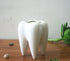 Ceramic Tooth Shaped Pen Pencil Toothbrush Holder Pot Succulent Plant Pot Home Office School Dentists Gift Ideal Gifts for Women, Mom or Birthdays...