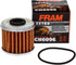 FRAM Extra Guard CH6096 Motorcycle/ATV Replacement Oil Filter, Fits Select Honda and Polaris Models...