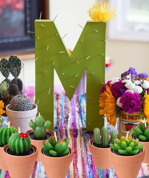 Succulent Candles, Novelty Cactus Tealight Candle Baby Shower Candle Decorations for Party Favors Terrarium Cacti candels Home Decor…...