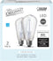 Feit Electric ST19 E26 (Medium) Filament LED Bulb Daylight 60 Watt Equivalence 2 pk - Case of: 1;...