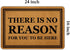 Welcome Mats for Front Door Outdoor Entry There is No Reason for You to Be Here Doormat Non Slip Rubber Mat for Home Indoor Farmhouse Funny Kitche...