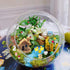 Dracarys Selected 50 Pcs Fairy Garden Accessories, Fairy Garden Kit, Fairy Garden Animals, Miniature Figurines, Micro Landscape Ornaments Kit, Mul...