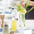 Bormioli Rocco Swing Bottle - 8.5 oz, Recyclable Glass with Airtight Seal - BPA-Free & Dishwasher Safe - Ideal for Infused Drinks, Juices, Oils - ...