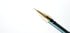 Pilot Hi-Tec-C 05 Gel Ink Pen, Extra Fine Point 0.5mm, Blue Ink, 5-Pack, Sticky Notes Value Set...
