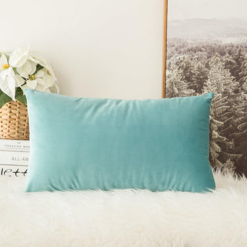MIULEE Velvet Pillow Cover Soft Luxury Decorative Throw Pillow Cover Single Rectangle Cushion Case for Spring Couch Sofa Bedroom Car Decor,12x20 I...