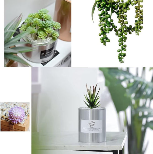 6 Pcs Artificial Succulents Different Kinds Assorted Faux Succulent Plants Unpotted Fake Succulents Artificial Hanging Plants String of Pearls Pla...