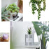 6 Pcs Artificial Succulents Different Kinds Assorted Faux Succulent Plants Unpotted Fake Succulents Artificial Hanging Plants String of Pearls Pla...
