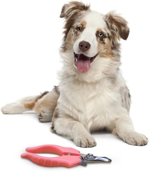 Pet Cut Nail Clippers for Small Medium Animals Cat Dog Claw Trimmer Home Grooming - Stainless Steel Kit Tool for Tiny Bunny Rabbit Bird Puppy Kitt...