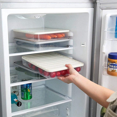 Food Storage Bin Vegetable Organizer with Lid Clear Fridge Crisper Keep Food Fresh BPA Free Kitchen Organizer Bins (Grey-L-SIZE with MAT)...