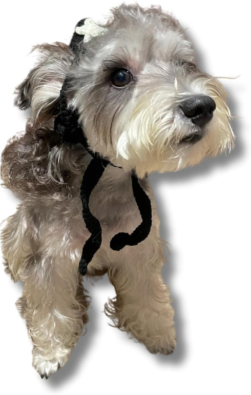 Zoo Snoods Pet Hat for Cats & Dogs - Black with White Star Pattern Witch Hat Design, Winter Dog Hat with Ear Holes, Perfect for Halloween, Christm...