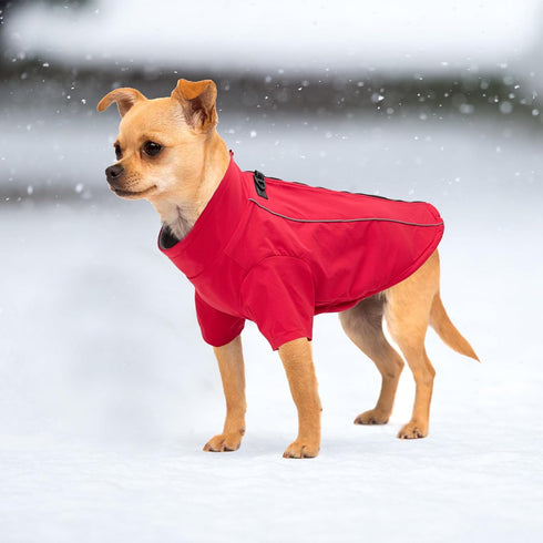 Geyecete Dog clothes Zipper Up Winter Small Dog Sweater Winter Warm Jacket Cold with Dual D Ring Weather Jacket Clothing Windproof Cold Weather Pe...
