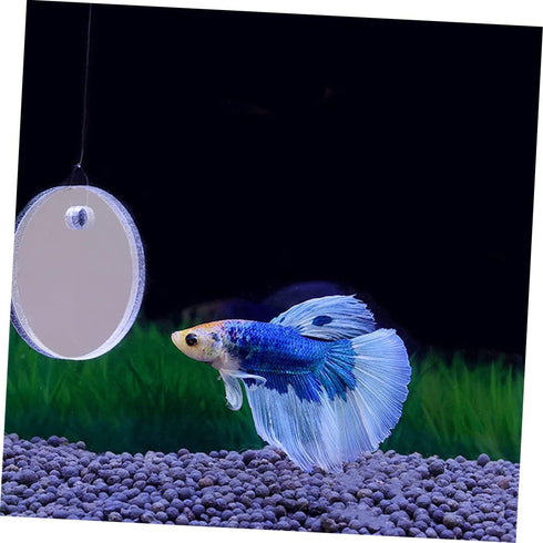 Fish Tank Accessories Beta Fish Tank 1 Set Betta Training Mirror Double Sided Mirror Acrylic Float 6cm Transparent Beta Fish Bowl Fish Tank Decor...