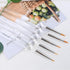 Detail Paint Brushes Set 5pcs Miniature Brushes for Fine Detailing & Art Painting, Mini Painting Brush for Acrylic, Oil, Watercolor, Gouache, Mode...
