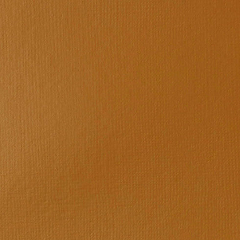 Liquitex BASICS Acrylic Fluid Paint, 118ml (4-oz) Bottle, Raw Sienna...