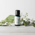 Ellia Diffuser Essential Oil Eucalyptus 15ml, 100% Pure, Therapeutic Grade, 15 mL Bottle, Clear...