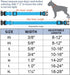 Taglory Reflective Adjustable Dog Collars for Puppy Small Medium Large Dogs, Thin Nylon Webbing and Quick Release Plastic Buckle(Aqua Blue,XSmall)...