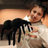 Soft Spider Doll, Cute Stuffed Animals Dolls Plush Pranks Stuff Toys, Gifts for Kids, Toddler, Birthday, Halloween, Christmas (Small:7.8in x 11.8i...