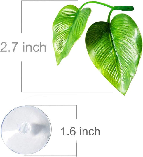 Betta Fish Leaf Pad Improves Betta's Health by Simulating The Natural Habitat - Natural, Organic, Comfortable Rest Area for Fish Aquarium...