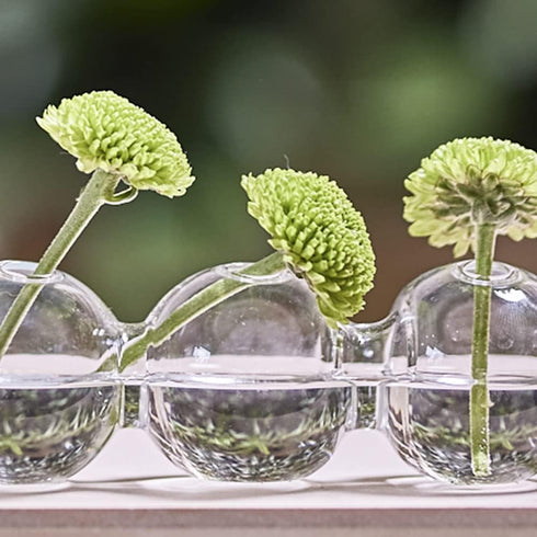 CHIVE ‘Caterpillar’ Bubble Bud Vase for Centerpieces — 6 Hole Multi Chamber Clear Glass Flower Vase for Short Flowers — Small, 10.25” Long...
