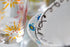 Pebeo Vitrea 160, Glass Paint Outliner, 20 ml Tube - Paprika...