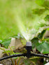 Kalolary 50 Pairs Misting Drippers Head, Atomizing Sprinkler with Tee Joints Adjustable Equipment Tool Micro Sprinkler Shrub for Flower Bed Patio,...