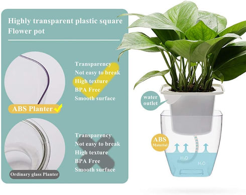 Self Watering Planter , FENGZHITAO African Violet Pots, Clear Plastic Automatic-Watering Planter Flower Pot Square Plant Pot for All House Plants,...