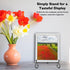 6 Pack 3 Sizes Iron Display Stand, Black Wire Iron Easel Plate Holder Dish Stand for Displaying Pictures, Decoration Plates, Books Dishes and Arts...