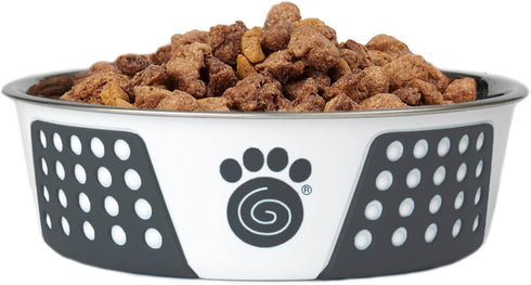 PetRageous 15002 Fiji Stainless Steel Non-Slip Dishwasher Safe Dog Bowl 6.5-Cup Capacity 8.5-inch Diameter 2.75-inch Tall for Large and Extra Larg...